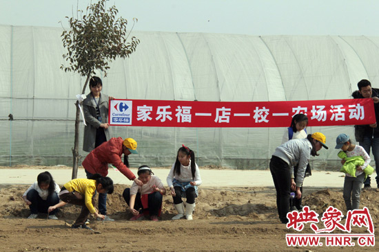 小朋友們在農(nóng)場工作人員的指導(dǎo)下種植娃娃菜