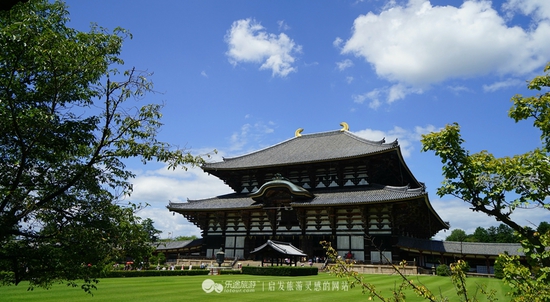 遠(yuǎn)觀東大寺　　攝影/爾冬