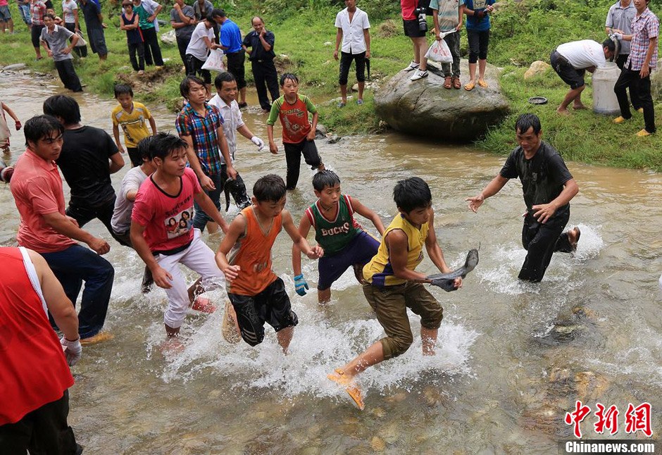 7月9日，村民在小河里摸魚搶魚。譚凱興 攝