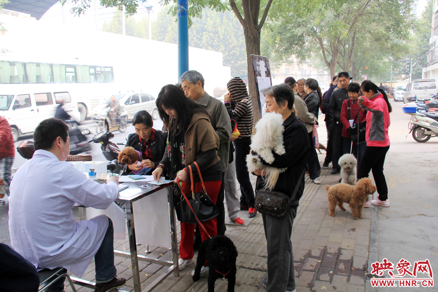 早上8點多，鄭州城市養犬金水區辦證點已經排起了長隊