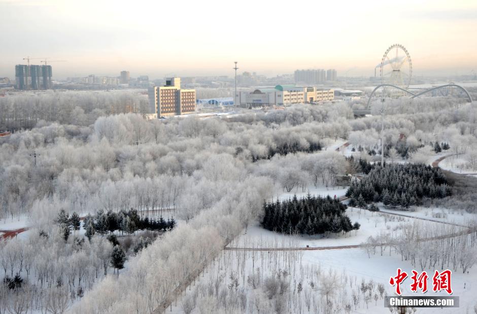 12月10日,受降溫天氣影響,黑河市黑龍江江畔出現綿延數公里的霧凇景觀。