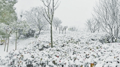 河南多地迎來(lái)今年首場(chǎng)降雪 部分地區(qū)今日雪停