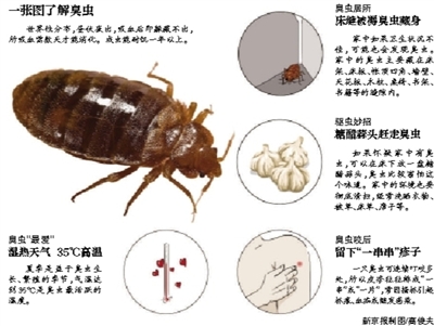 鐵路部門回應京滬高鐵現臭蟲