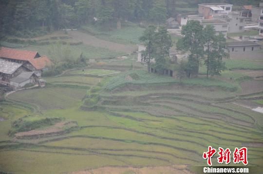 貴州發現疑似“飛虎隊”墜機遺址(圖)