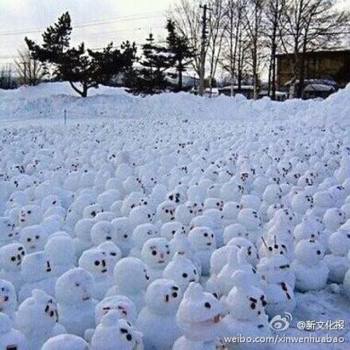 網傳“煙臺男子大學生堆1314個雪人表白”。微博圖