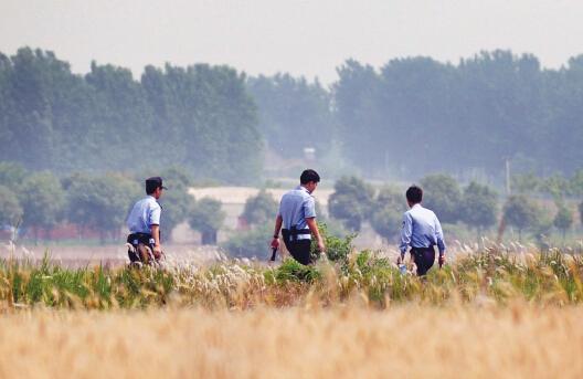 昨日上午，合肥長豐縣雙墩鎮(zhèn)，民警分成小隊(duì)在案發(fā)村莊附近麥田搜捕嫌犯。記者劉玉才/攝