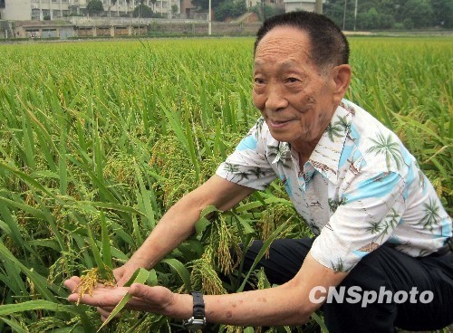 印度農民稻米單產創世界紀錄袁隆平批吹牛皮