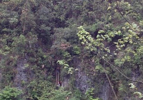 湖南一山村兒童每天需攀爬垂直天梯上學(xué)(圖)