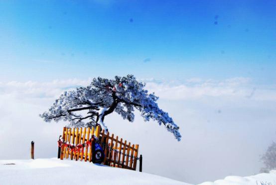 冬意華山 賞雪大推薦