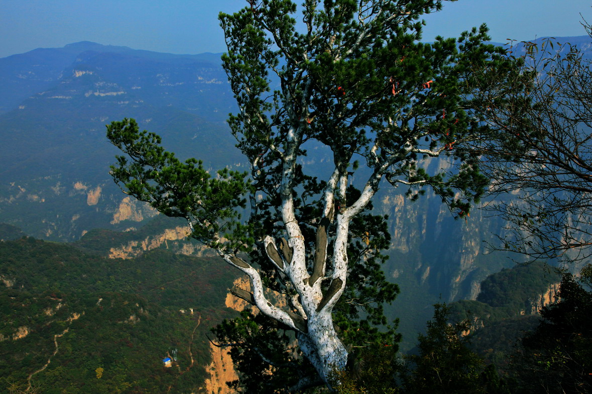 春天了 趁女人節的大優惠去旅游