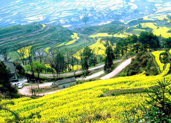 魅力古鎮的春季旅游行 四個最美的地方春意濃