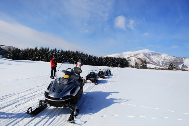 北海道的粉雪誘惑