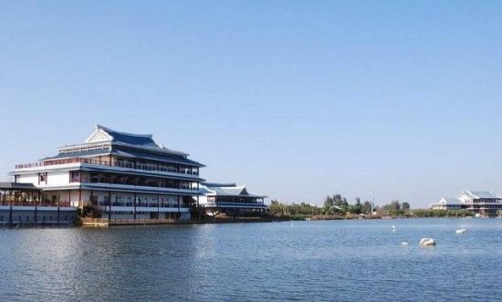 樂享綠色夏日 濕地公園生態(tài)親水之旅