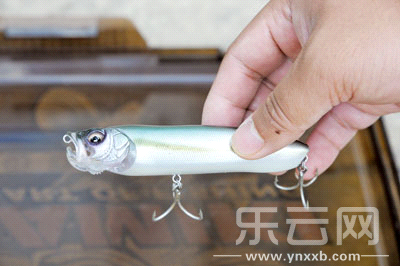 　　又稱擬餌釣魚,起源于歐洲,國內翻譯為“路亞”。