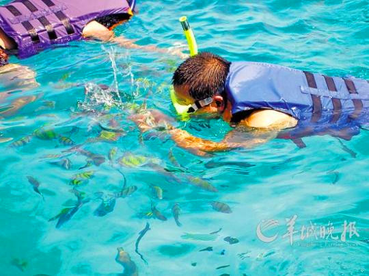 [旅游貼士]浮潛危險多馬虎招意外 附加配備保安全