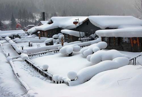 ▲安詳寧靜的雪村　