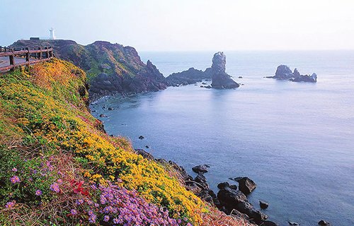 花多眼亂遍成海