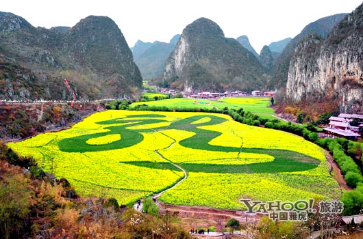 　　貴州油菜花景自以“立體多層,起伏跌宕”的油菜花景觀著稱。(圖片來源:CFP)