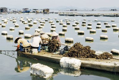 以漁為生，造就了他們不同于內(nèi)地的口味