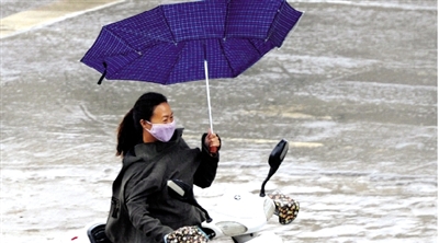 昨日下午，隴海路上，雨中風(fēng)大，一位女士的傘被吹翻了。