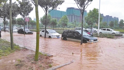 昨日，信陽突降暴雨，路面積水已淹沒輪胎。首席記者 何正權(quán) 通訊員 楊小燕 攝影