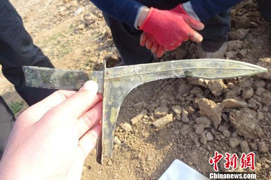 河南發掘戰國至東漢墓葬群 出土罕見青銅劍、戈（圖）