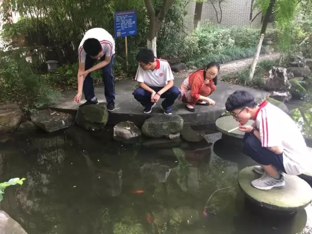 學生在校園釣龍蝦:香腸雞架當蝦餌 半小時釣50只