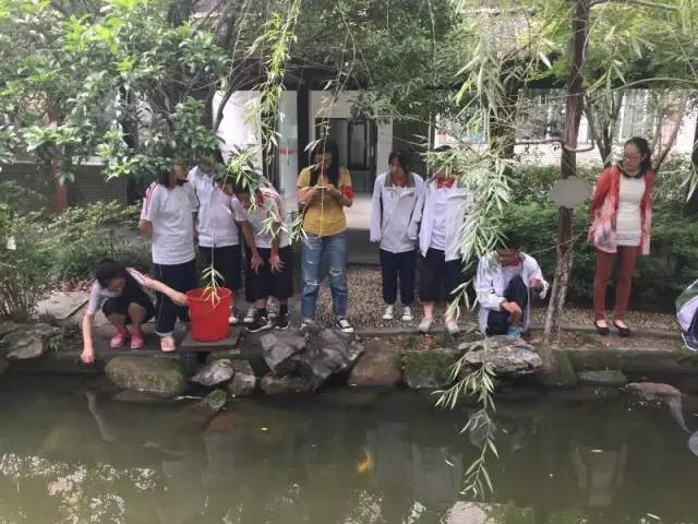 學生在校園釣龍蝦:香腸雞架當蝦餌 半小時釣50只