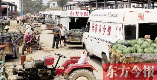 昨日，東方今報與河南福壽園聯合購瓜，只有更多的市民和企業加入購瓜行動，瓜農們才能早日回家