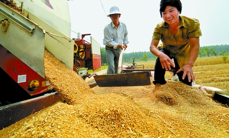 6月3日， 濮陽開發區胡村鄉后范莊村的續秀萍看著新打的粒大飽滿的小麥喜上眉梢。