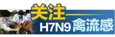 關注H7N9禽流感