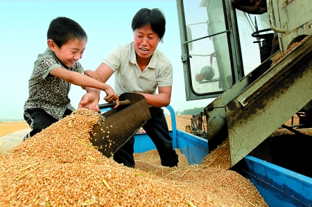 5月27日，確山縣劉店鎮前槽村郭景蓮和小孫子一起收獲小麥，豐收的喜悅寫在了臉上。