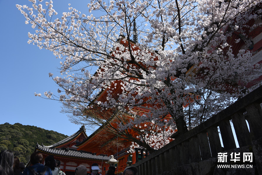 莫負人間四月天