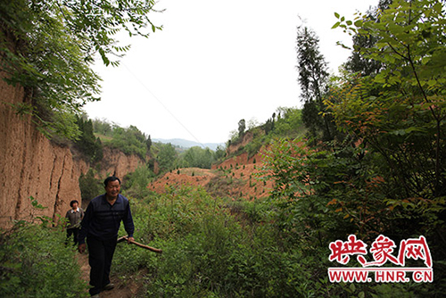 上山的路