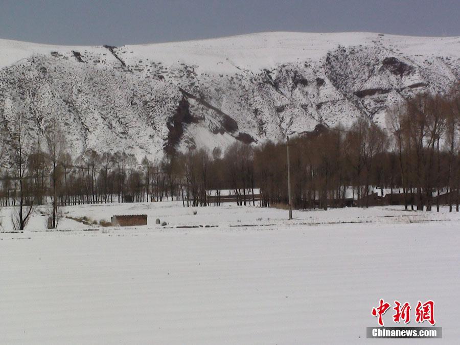 甘肅河西走廊山丹縣立夏后首飄大雪