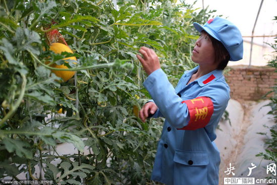 河南一農場近百名員工著紅軍裝上班