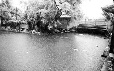 白云區(qū)棠樂路通往石槎路的一個鐵路橋底涵洞常被暴雨積水淹沒。《信息時報》供圖