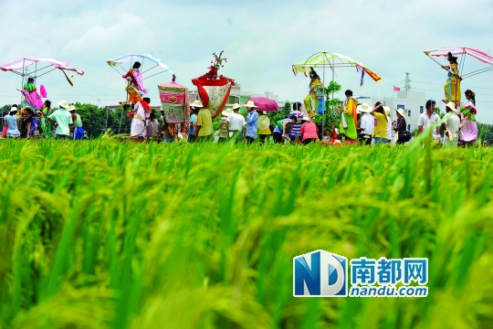 崖口村每年都在村里舉行飄色巡游活動。