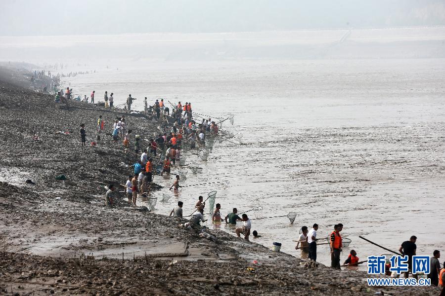 7月6日,在山西省平陸縣黃河岸邊,人們?cè)诤舆叢稉泣S河“流魚(yú)”。