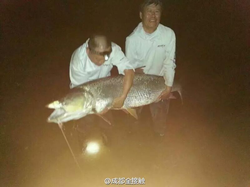 圖為大魚需要兩個人抱起。