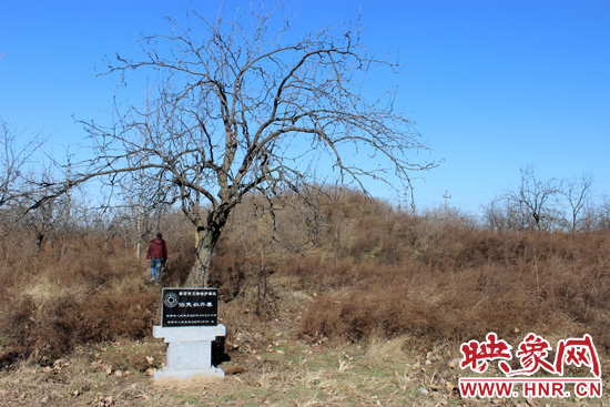 在叔齊墓的前面，豎著新鄭市人民政府今年剛立的石碑，上面寫著“新鄭市文物保護單位”。