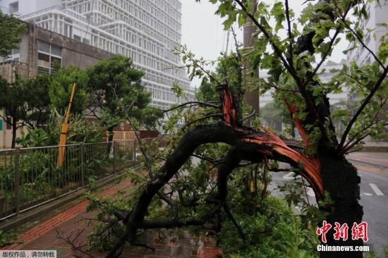 臺風“浣熊”登陸日本破壞力大 已致至少2人死