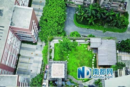 中旅商務大廈的“空中花園”。