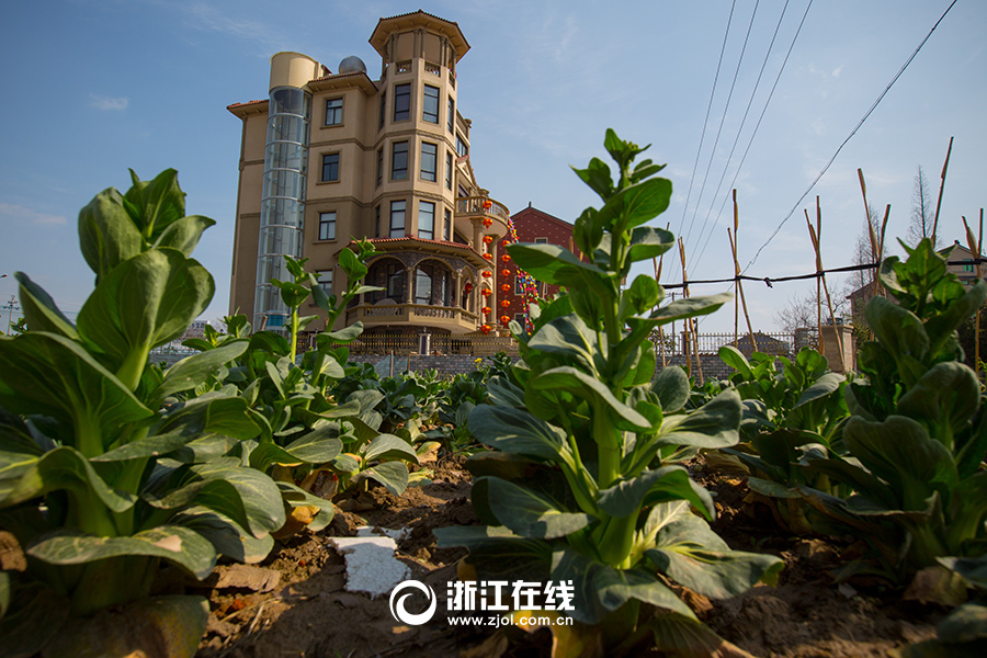 浙江土豪建史上最壕農居房