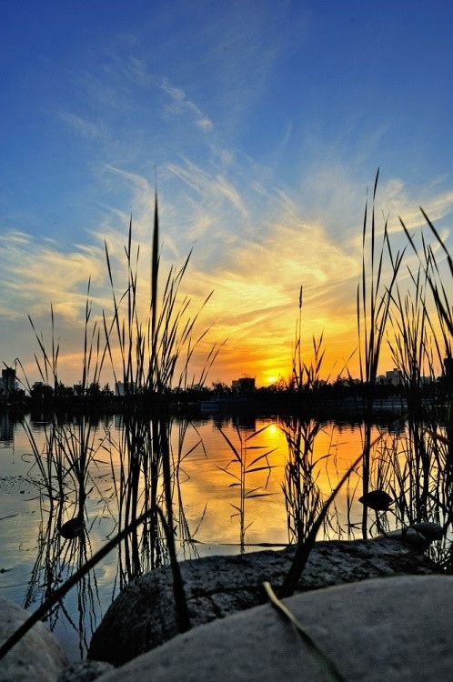 夕陽無限好 西安不可錯過的夕照勝景地