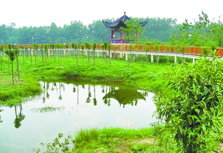 濕地公園定期向中小學生免費開放