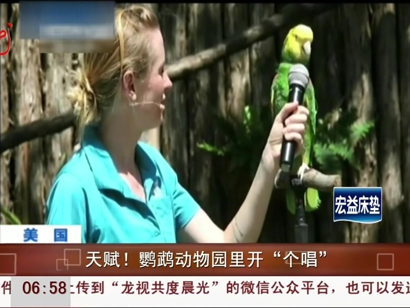 鸚鵡動物園里開“個唱”