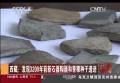 西藏：發現3200年前新石器陶器和青稞種子遺跡