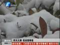 河南省20日普降瑞雪 霧霾天氣仍將繼續