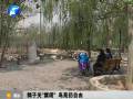 鄭州動物園鴿子關(guān)“禁閉” 鳥苑仍自由